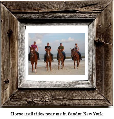 horse trail rides near me in Candor, New York